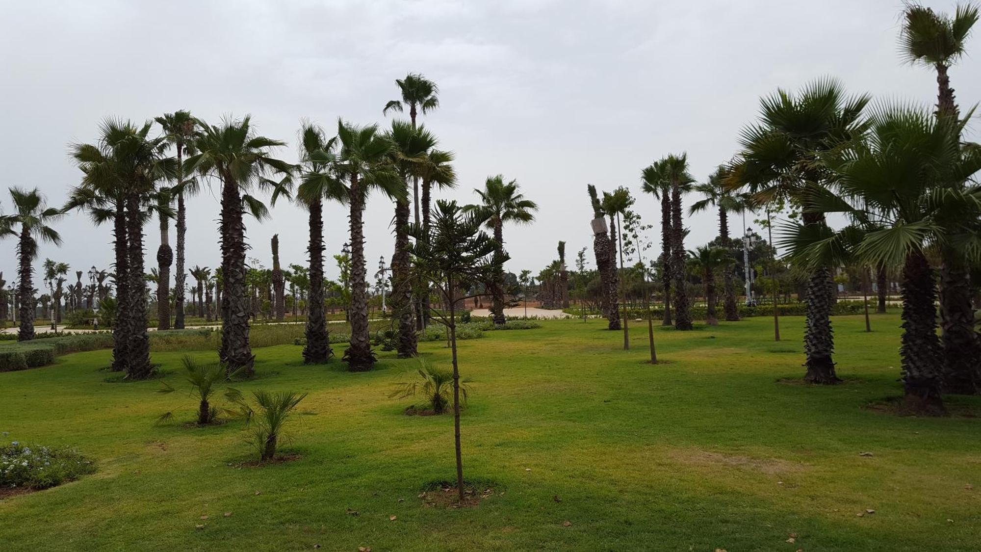 Appartement Agreable Avec 2 Tres Belles Terrasses Au Coeur De Rabat Luaran gambar