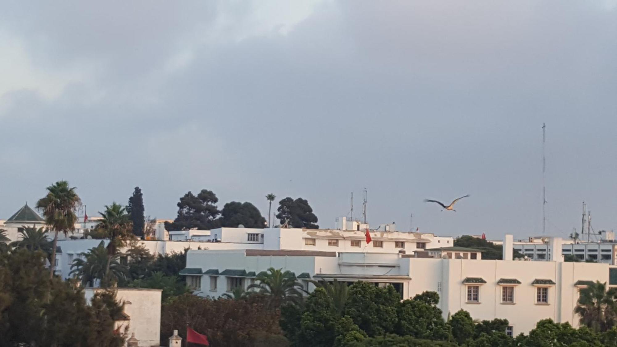 Appartement Agreable Avec 2 Tres Belles Terrasses Au Coeur De Rabat Luaran gambar